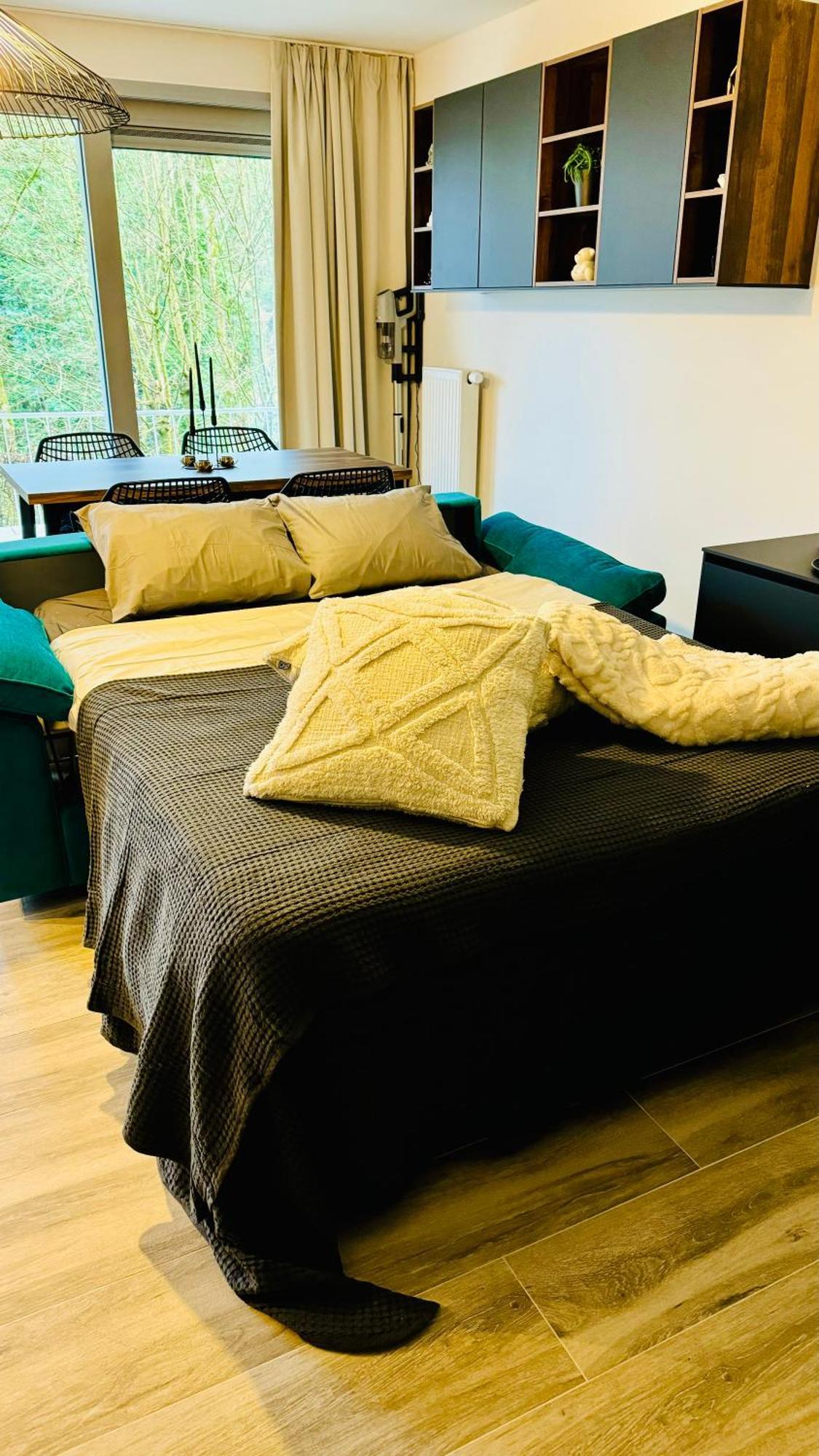 Le Cocon Apartment *